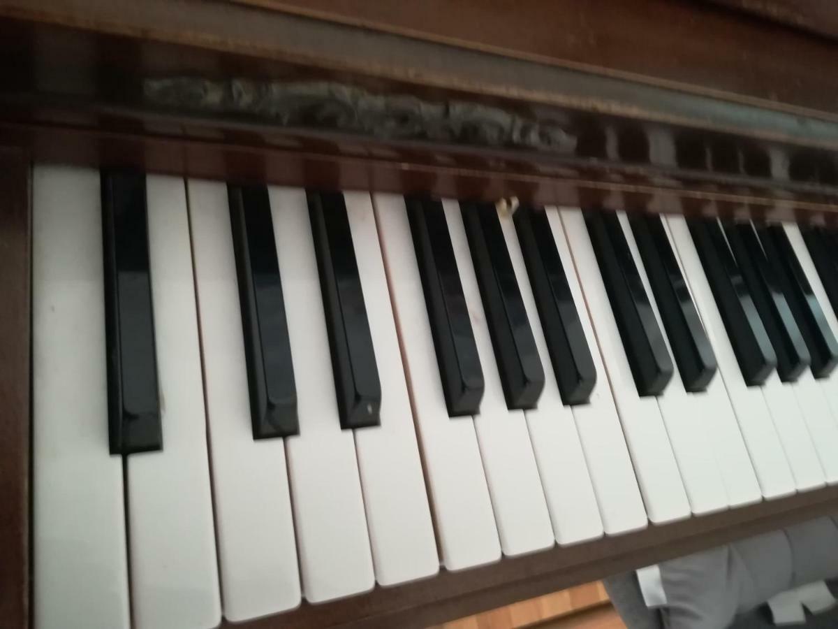 The Piano Apartment Zavalatica Zewnętrze zdjęcie